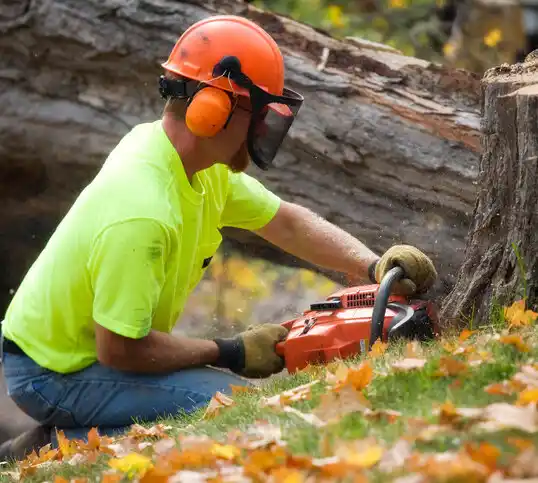 tree services Linn